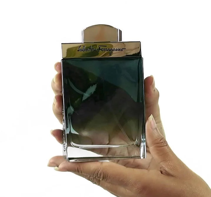 Salvatore Ferragamo Subtil pour Homme Eau de Toilette 3.4 fl oz *EN