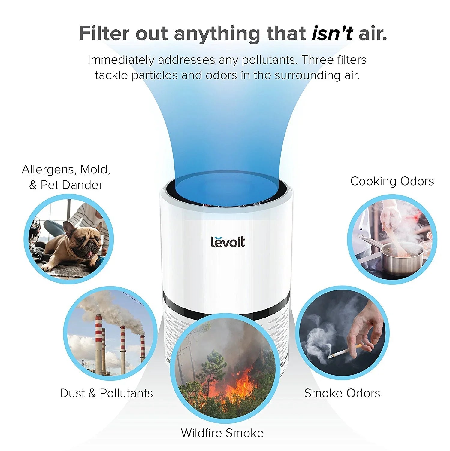 LEVOIT LV-H132 Air Purifier with True Hepa Filter for Smoke, Bacteria, and More