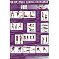 Productive Fitness CRTLL Resistance Tubing Back, Legs, Biceps, Chest and Triceps - Laminated