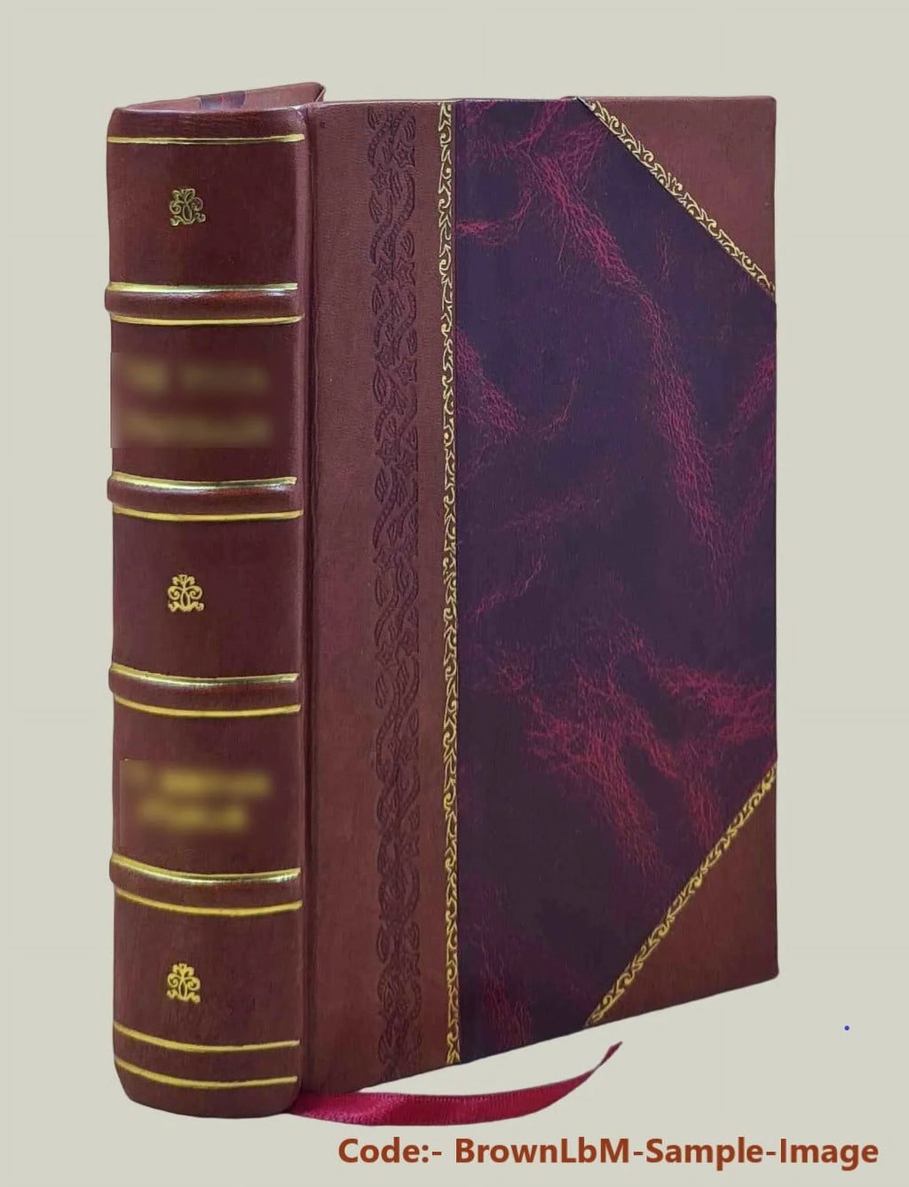 The Geneva Bible 1560 1560 [Leather Bound]