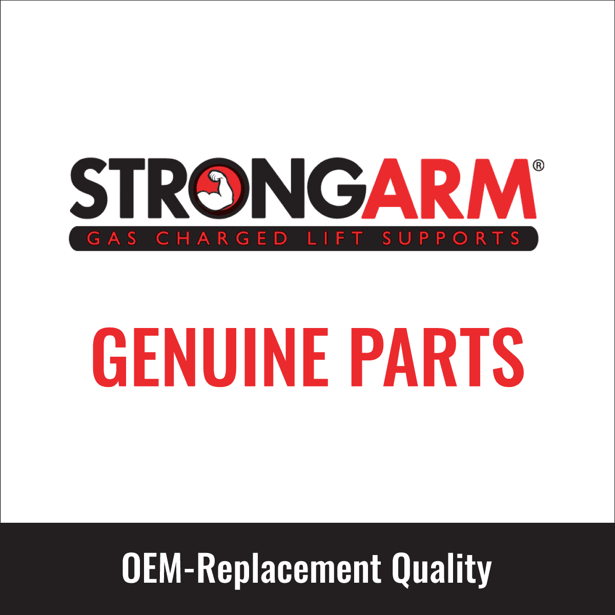 2 pc Strong Arm 6803 Trunk Lid Lift Supports for F4ZZ63406A10A SG304019 Body Compartment Fits select: 1994-2004 FORD MUSTANG