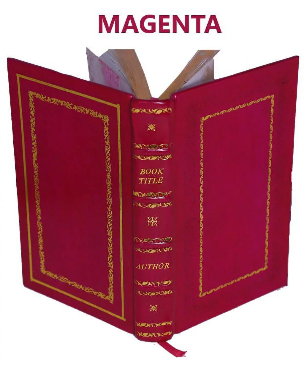 Prodromus philosophiae ratiocinantis de infinito et causa finali creationis deque mechanismo operationis animae et corporis 1734 [Premium Leather Bound]