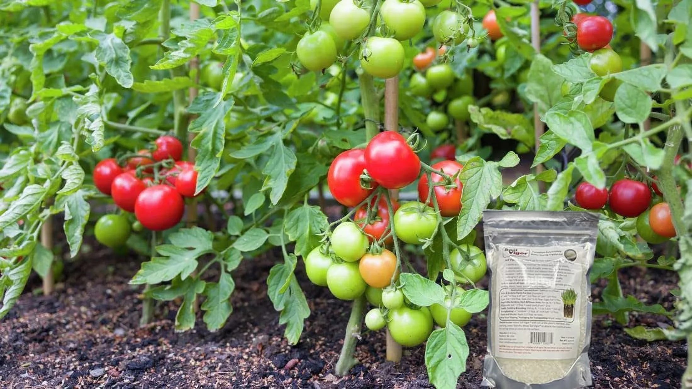 Potassium PolyacryLatitudee Keep Moisture and ReguLatitudee The ph of Soil for Plant 45 Pounds