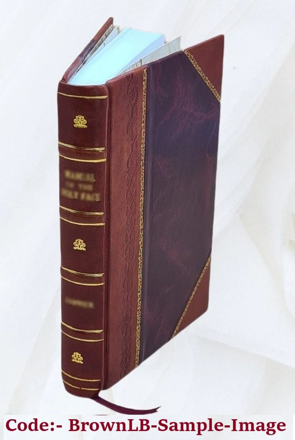 Monographs of the Central Parts of the Nebulae of the Orion 1882 [Leather Bound]