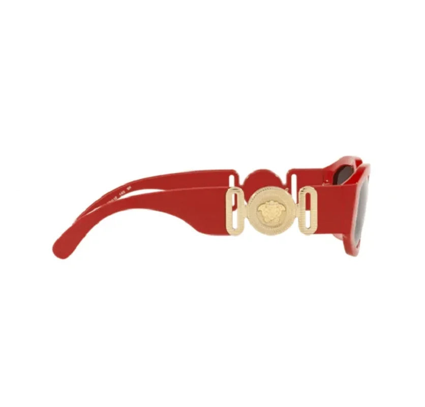 Versacce VE4361 Unisex's Plastic Geometric Sunglasses Red 53mm/16-140 Adult
