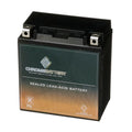 Chrome Battery Ytx20ch-bs (20ch-bs 12 Volts,18 Ah, 270 Cca) Motorcycle Battery for Kawasaki 1600cc Vn1600-b Vulcan Mean Streak 2004