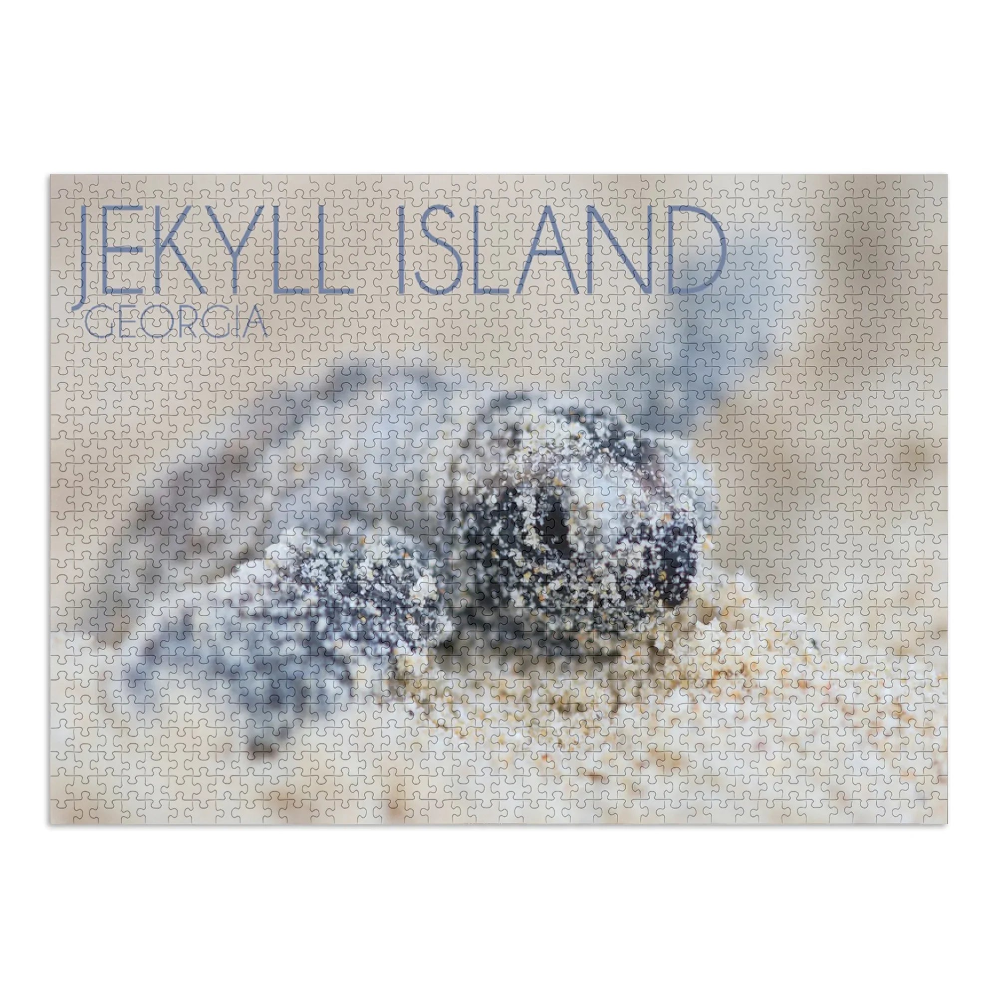 Jekyll Island, Georgia, Hawksbill Turtle Hatching (1000 Piece Puzzle, Size 19x27, Challenging Jigsaw Puzzle for Adults and Family, Made in USA)