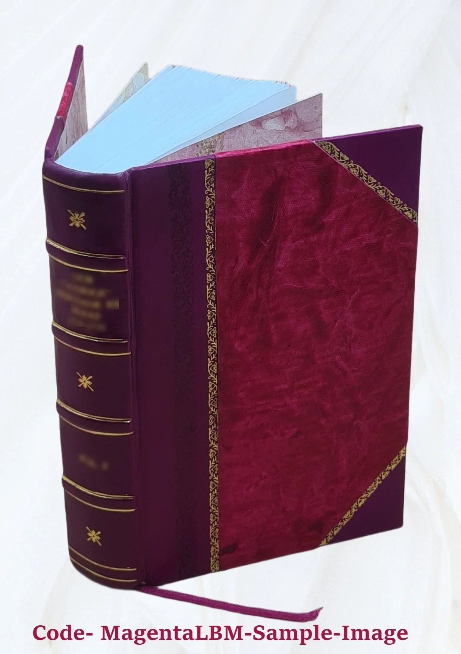 Light list. Vol. 3, Pacific coast and Pacific islands / Treasury Department, United States Coast Guard. Volume 1963-64 1964 [Leather Bound]