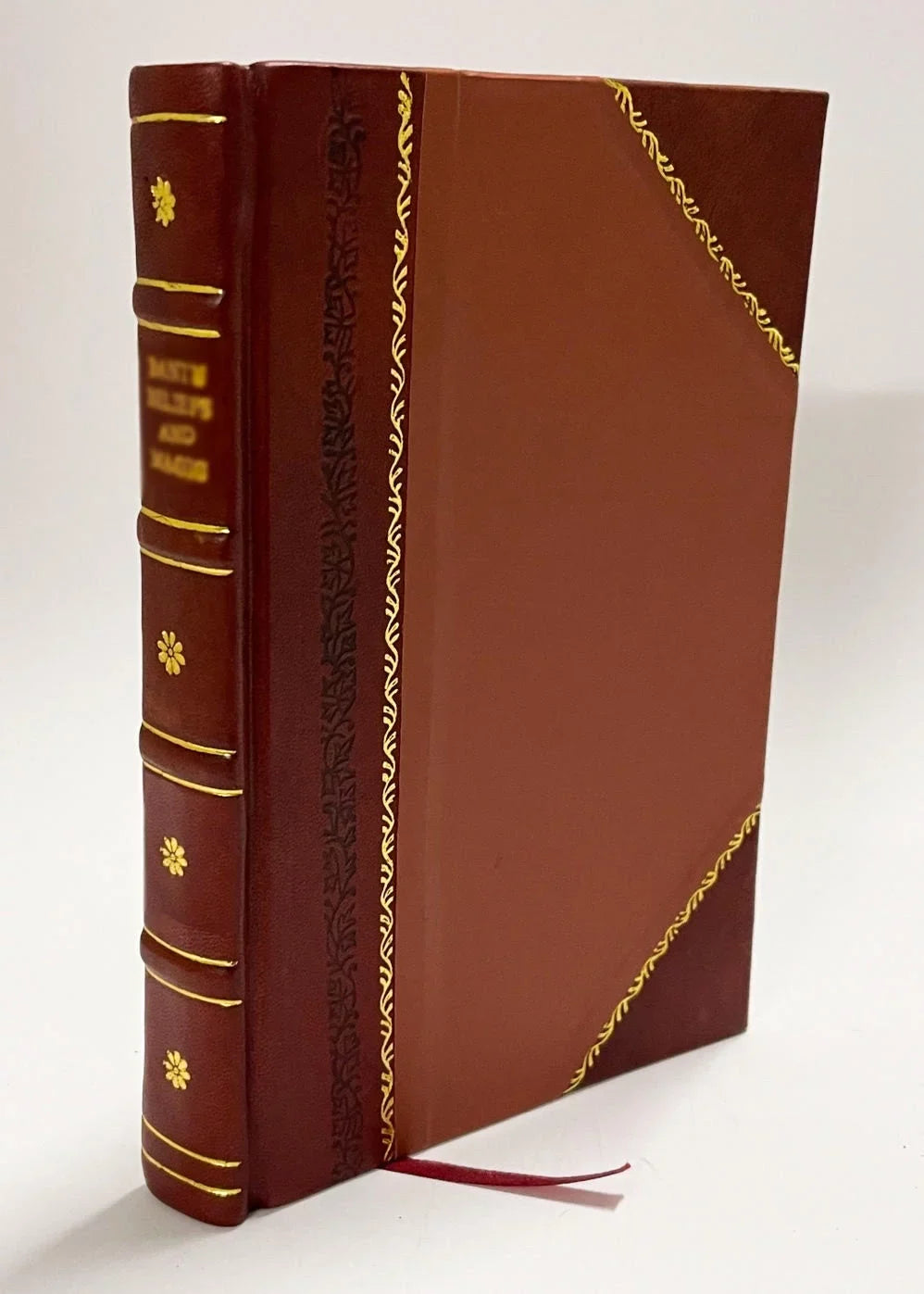 A Mere Cypher, a Novel / Dickens, Mary Angela (1893) (1893) Volume 1 [Leather Bound]