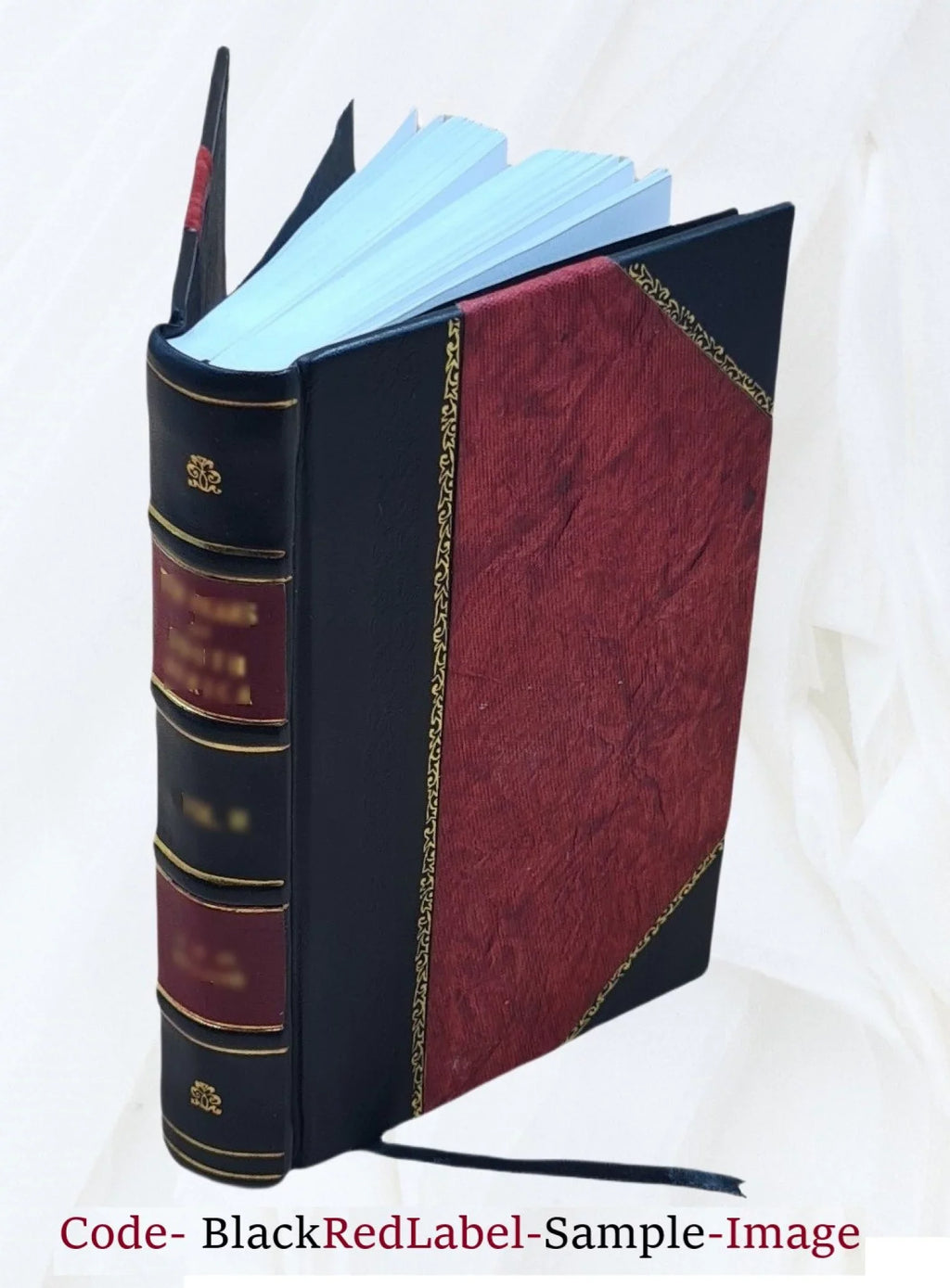 Répertoire d'optiquemoderne, ou analyse complète des travaux modernes reLatitudeifs aux phénomènes de la lumière Volume 3 1847 [Leather Bound]