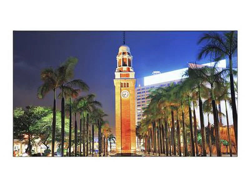 NEC X555UNS 55" LED display -