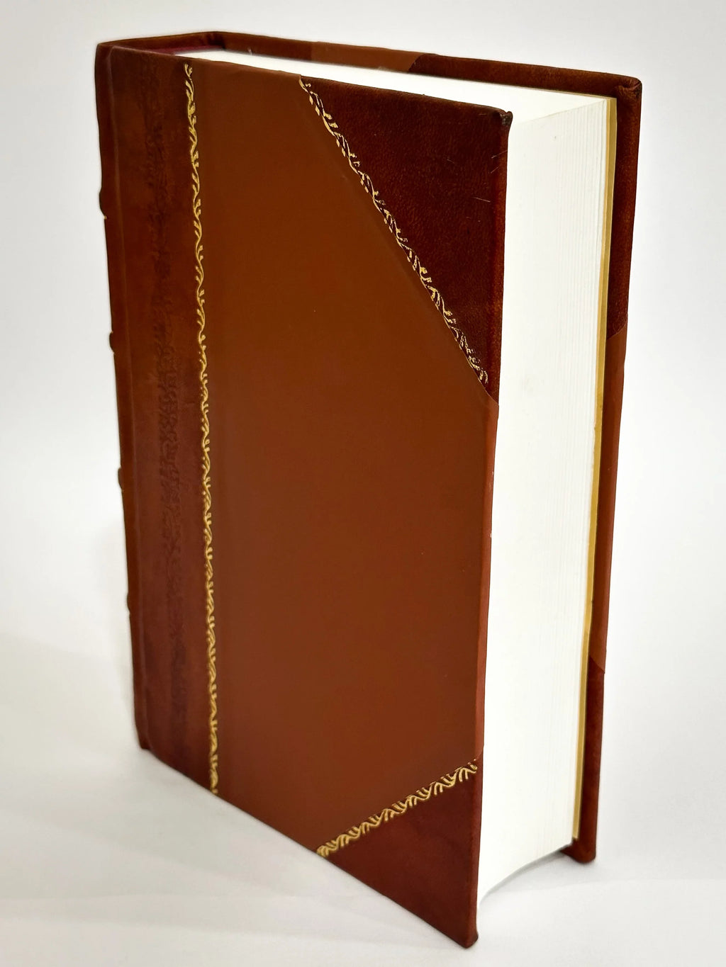 Detectus Ac a Iuco Politico Repurgatus Candor Et Imperium Indefinitum Vastum Et Immensum Rationis Status Boni Principis Das Ist: Reine Und Unverfalschte Staats-Regul ... / (1678) [Leather Bound]