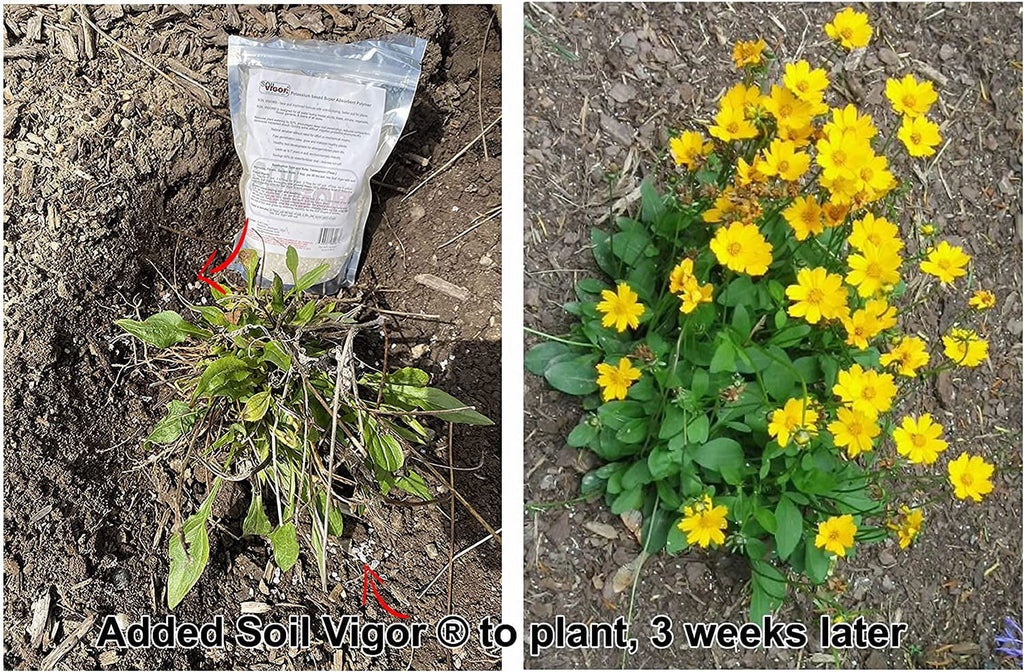 Potassium PolyacryLatitudee Keep Moisture and ReguLatitudee The ph of Soil for Plant 45 Pounds