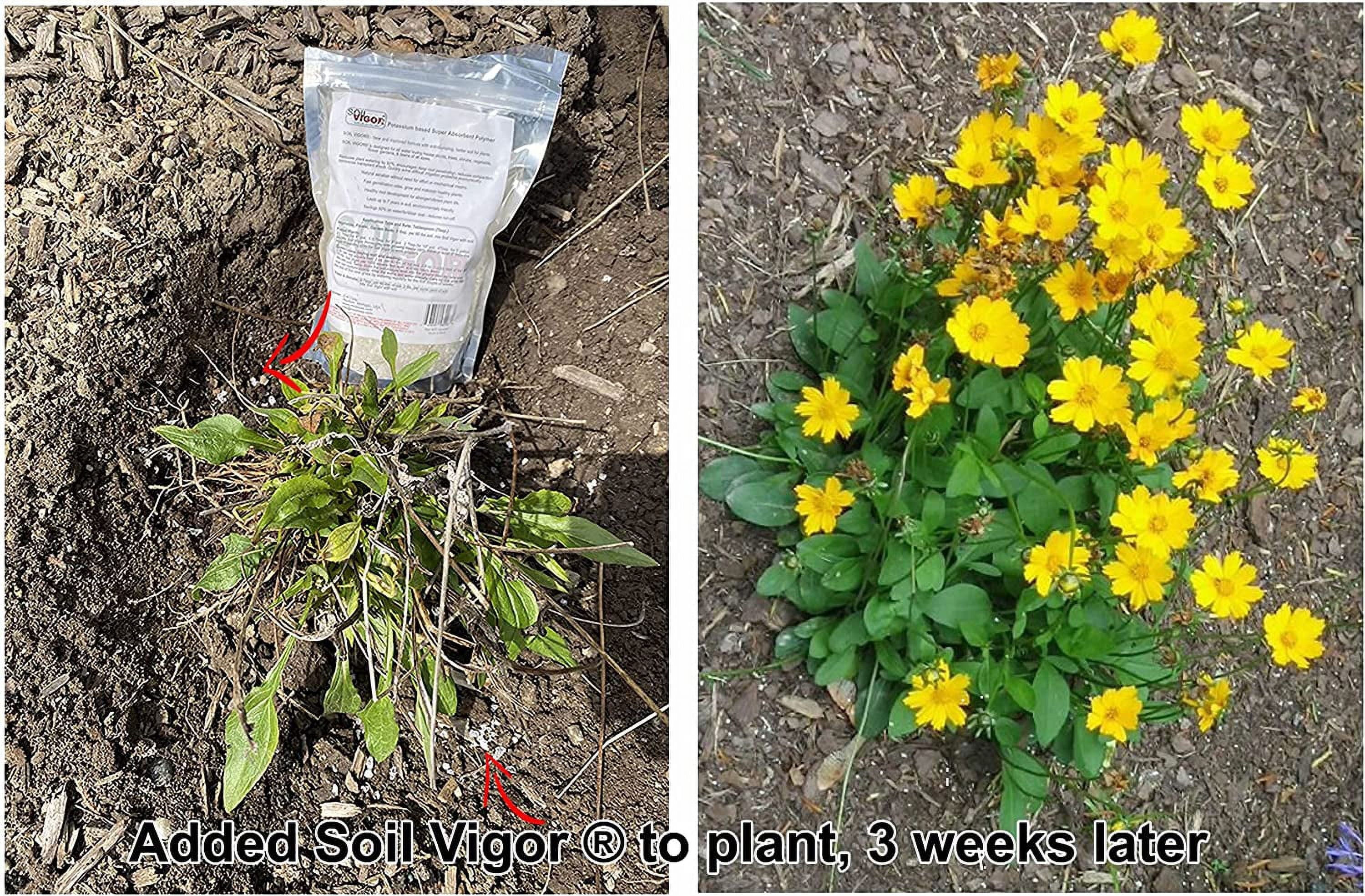 Potassium PolyacryLatitudee Keep Moisture and ReguLatitudee The ph of Soil for Plant 45 Pounds