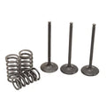 Pro X Steel Intake Valve/Spring Kit for Yamaha YFZ450R 2009-2018
