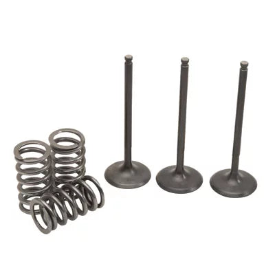 Pro X Steel Intake Valve/Spring Kit for Yamaha YFZ450R 2009-2018