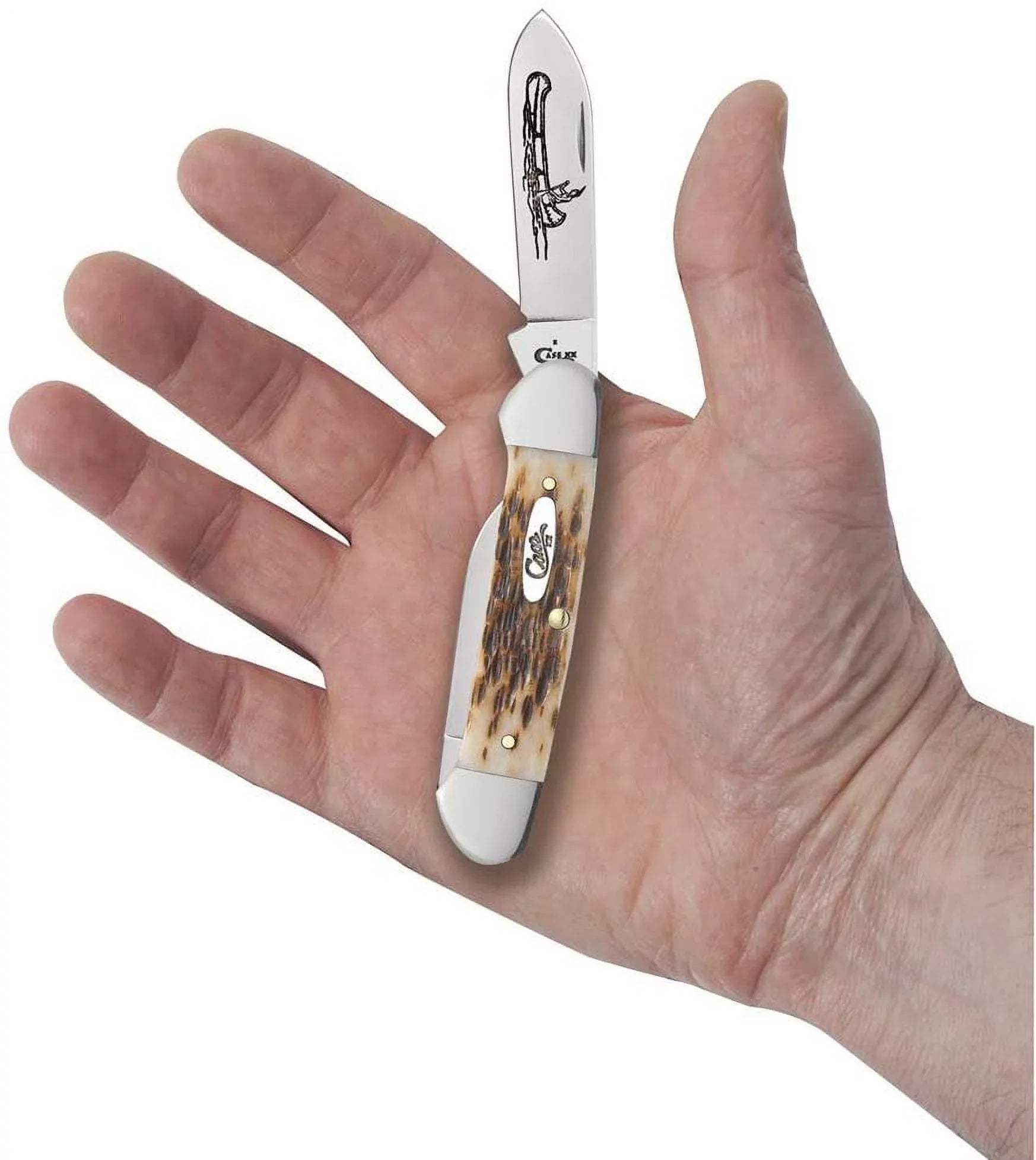 Case Amber Bone CV Canoe Pocket Knife