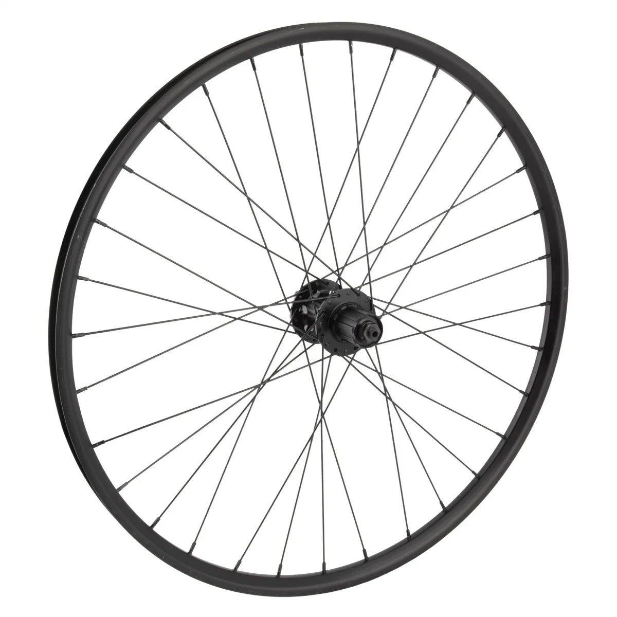 Wheel Master 26in Alloy Mountain Disc Double Wall 26in RR WTB ST TCS 2.0 i21 6B