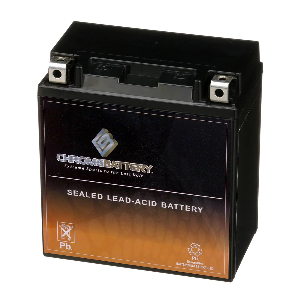 Chrome Battery YTX20CH-BS (20CH-BS 12 Volt,18 Ah, 270 CCA) Motorcycle Battery for Kawasaki Vn 1500e4 Vulcan Classic 2001