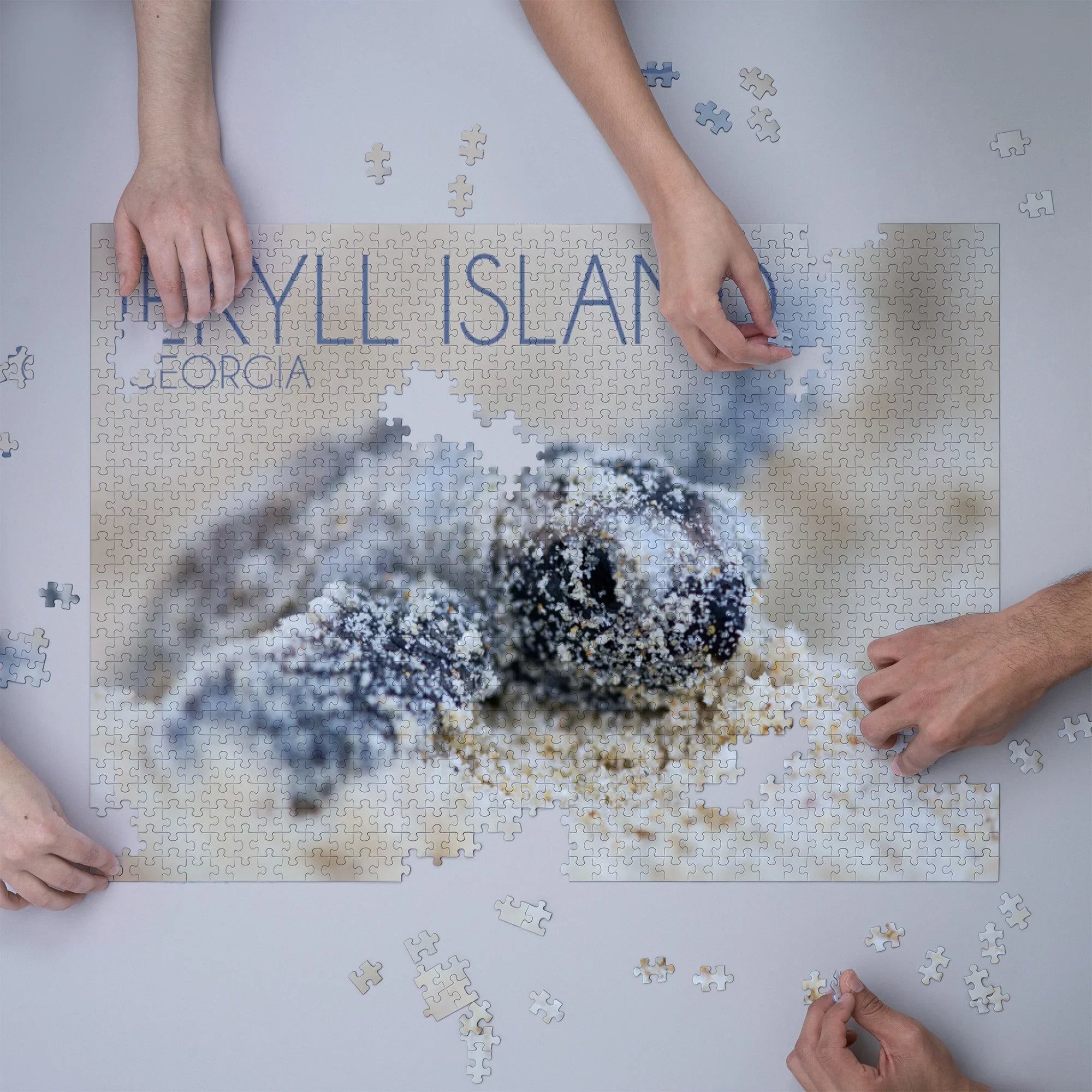 Jekyll Island, Georgia, Hawksbill Turtle Hatching (1000 Piece Puzzle, Size 19x27, Challenging Jigsaw Puzzle for Adults and Family, Made in USA)