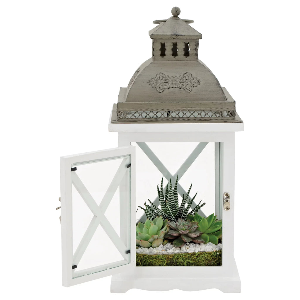 Arcadia Garden Products Hutch Lantern Terrarium