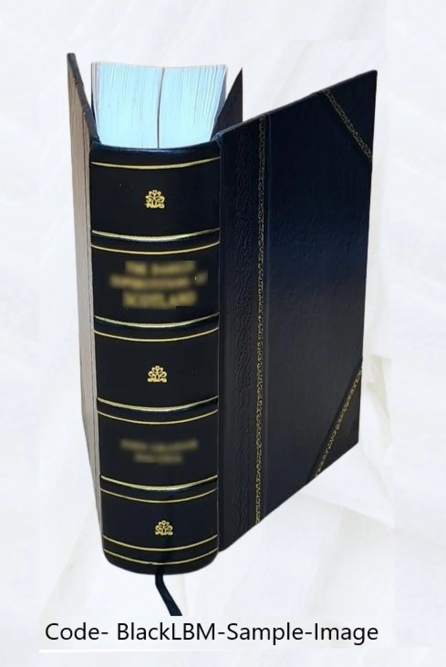 Light list. Vol. 3, Pacific coast and Pacific islands / Treasury Department, United States Coast Guard. Volume 1963-64 1964 [Leather Bound]
