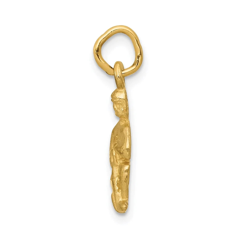 14k Satin Diamond-cut Aquarius Zodiac Charm QC486