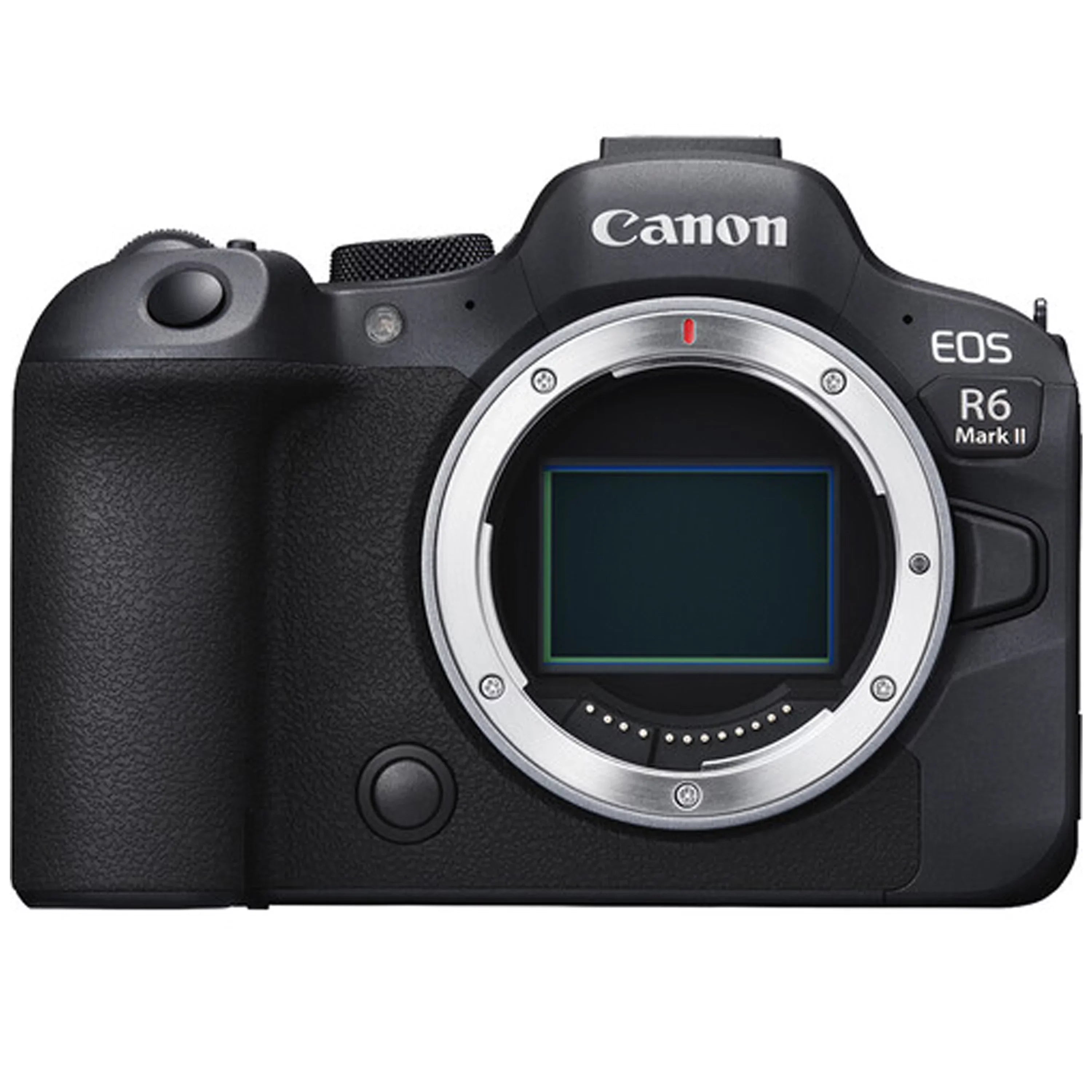 EOS R6 Mark II Mirrorless Camera with  RF 24-105mm f/4 L IS USM Lens + 2pc 64GB Memory Cards + LED Video Light + Spare Battery + Case & More